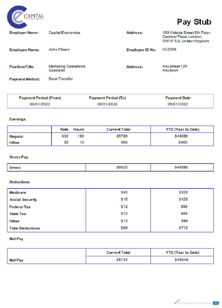 Download USA Capital Economics economic company Photoshop template